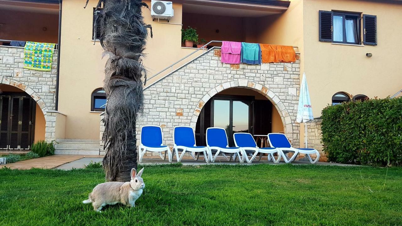 Holiday Home Marina Kaštelir エクステリア 写真